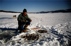 Fish_ice2.JPG (50929 bytes)