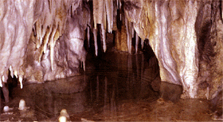 ca_topext_pic2.JPG (44742 bytes)