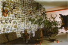 hunting_huntingresidence.JPG (16815 bytes)